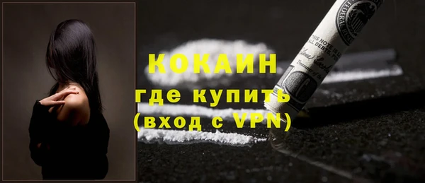 шишки Армянск
