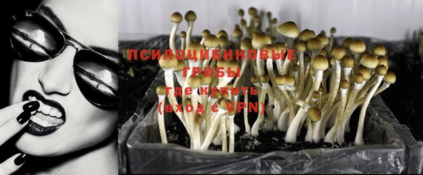 шишки Армянск