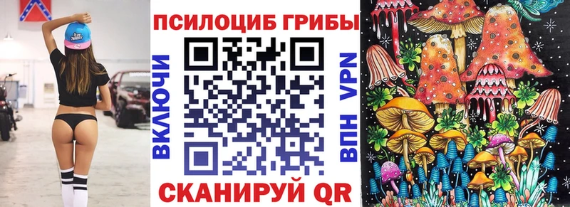 Псилоцибиновые грибы Psilocybine cubensis  Старая Купавна 